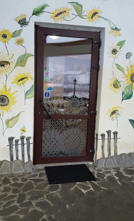 فندق Floarea Soarelui شيا المظهر الخارجي الصورة